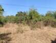 2.5 acre land for sale in Murbad, Thane West