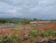 1200 to 2500 sq ft Agricultural Plots Development in Khopoli for Sale