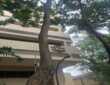 Pre Leased Commercial Office Space of 1540 sq.ft. Area for Sale at Raheja Plaza, Andheri West.