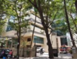 Rent Furnished 550 sft Office, Off Link Rd Andheri W, Raheja Plaza.