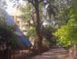 Rent Semi furnished 2 Bhk in Juhu, AB Nair Rd, Greenfield.
