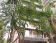 Sale 2 Bhk, 715 sft, Santacruz W, Nutex, Saraswat Colony.