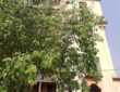 Sale 2 Bhk, 800+ sft, in Andheri W Oshiwara, Yashodeep Tower.