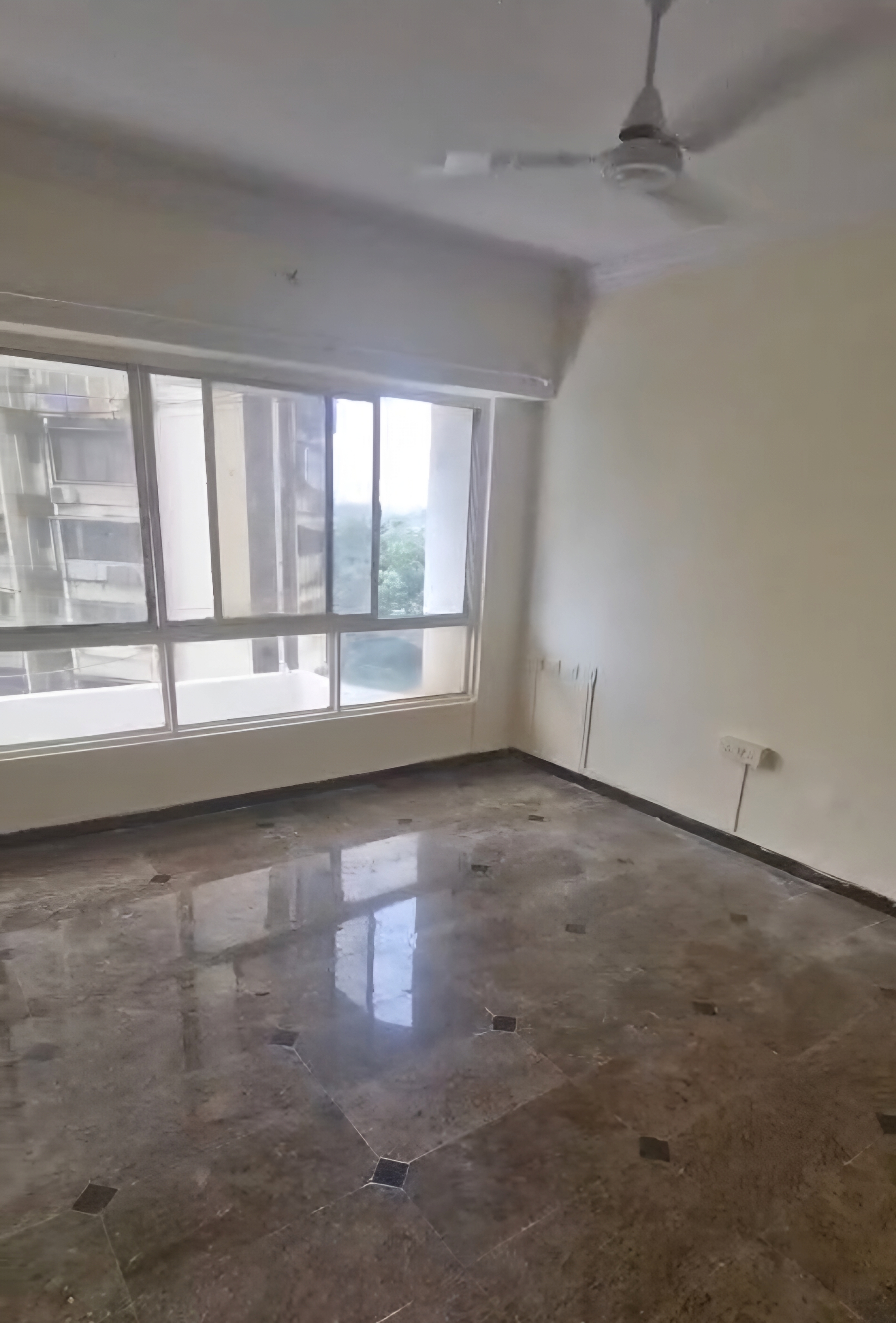 Large Windows