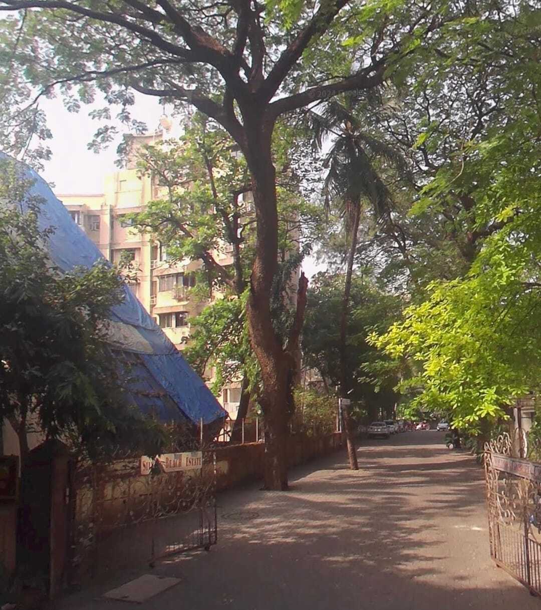 Greenfield Society, Juhu