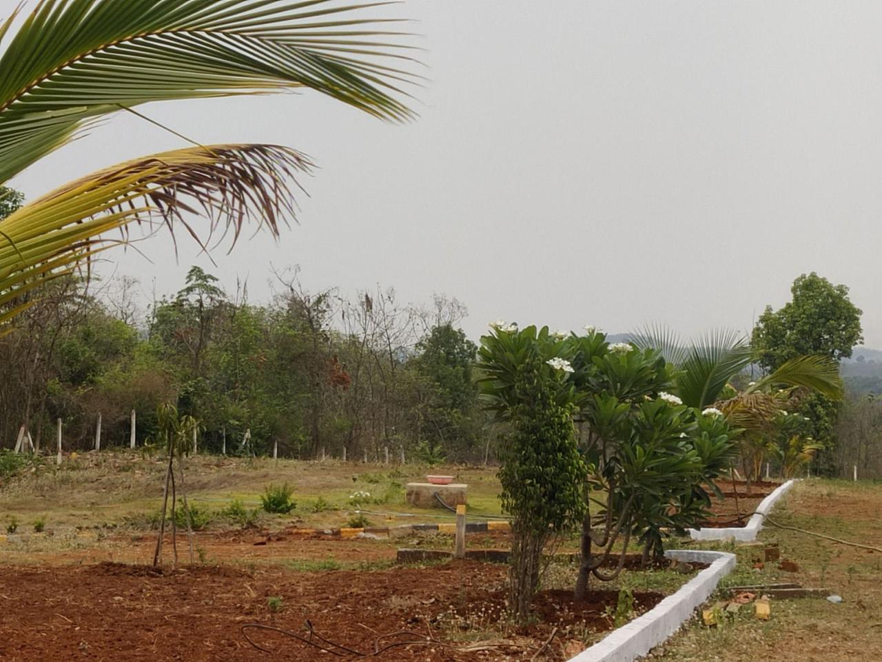 Land
