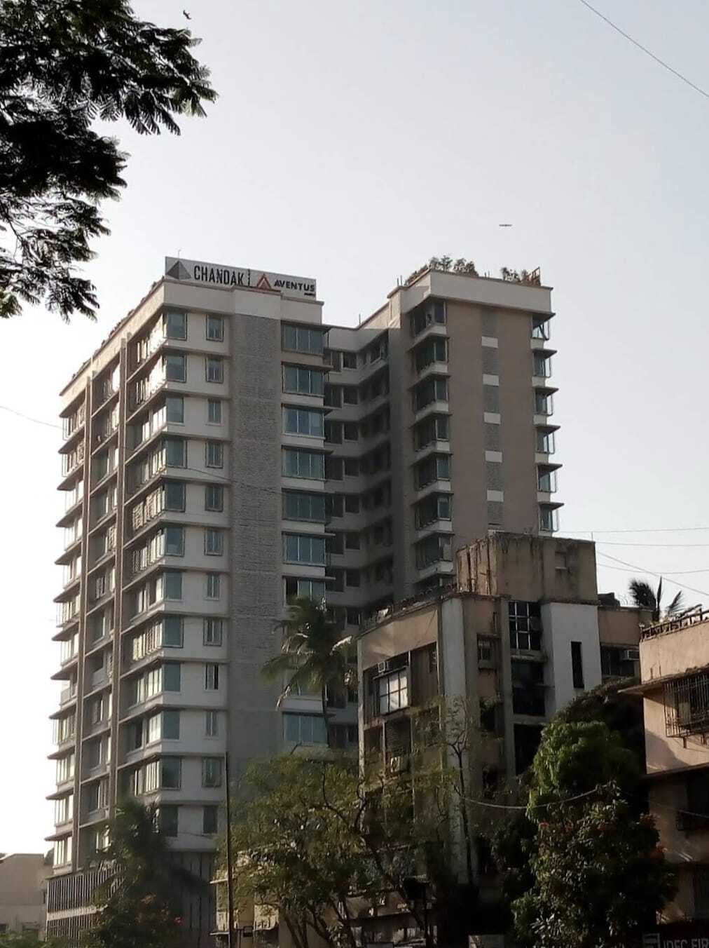 Ideal 49, Juhu.