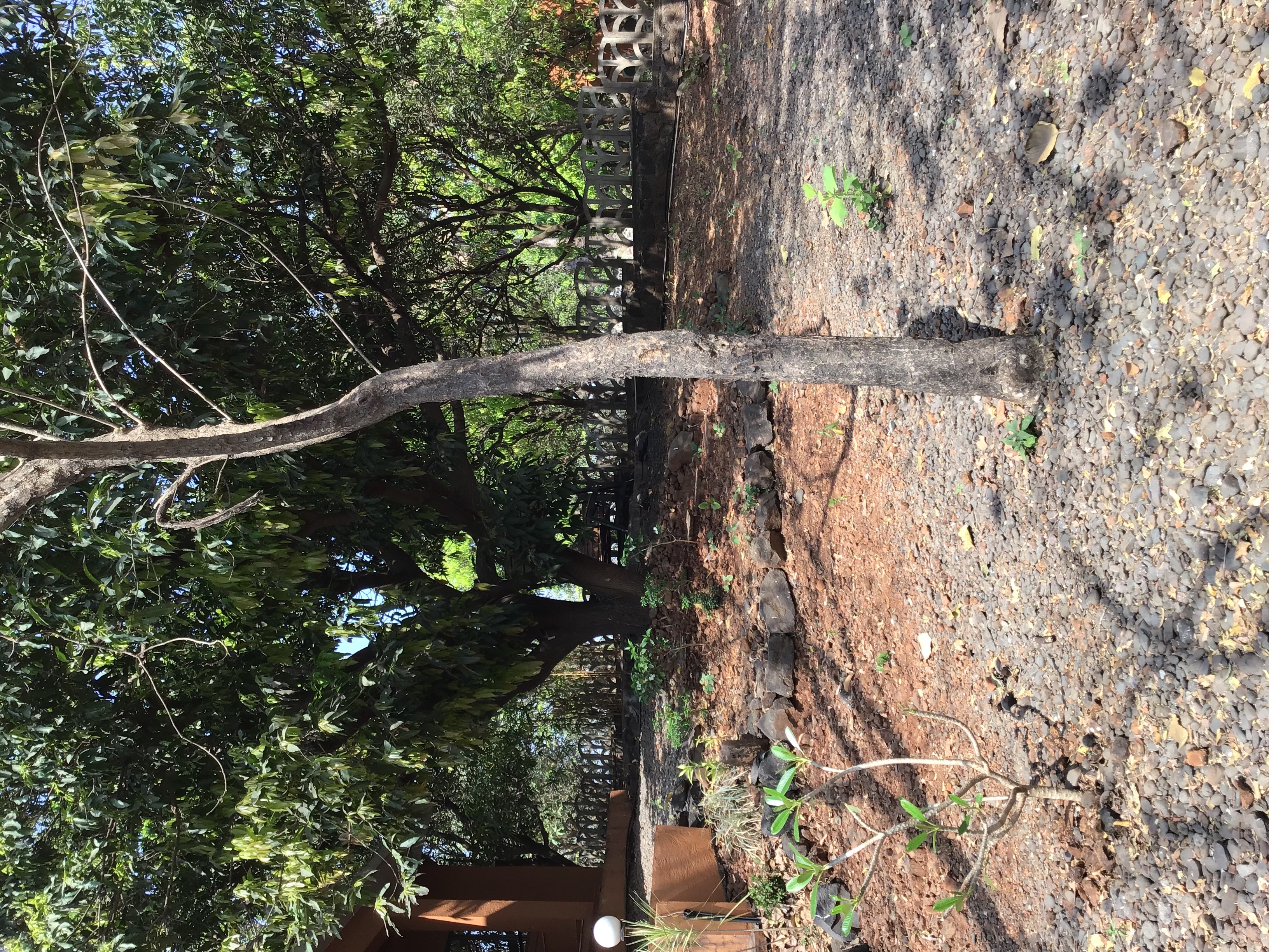 Outside plot view